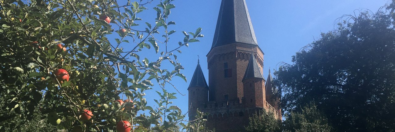 AFZutphen's profile banner image