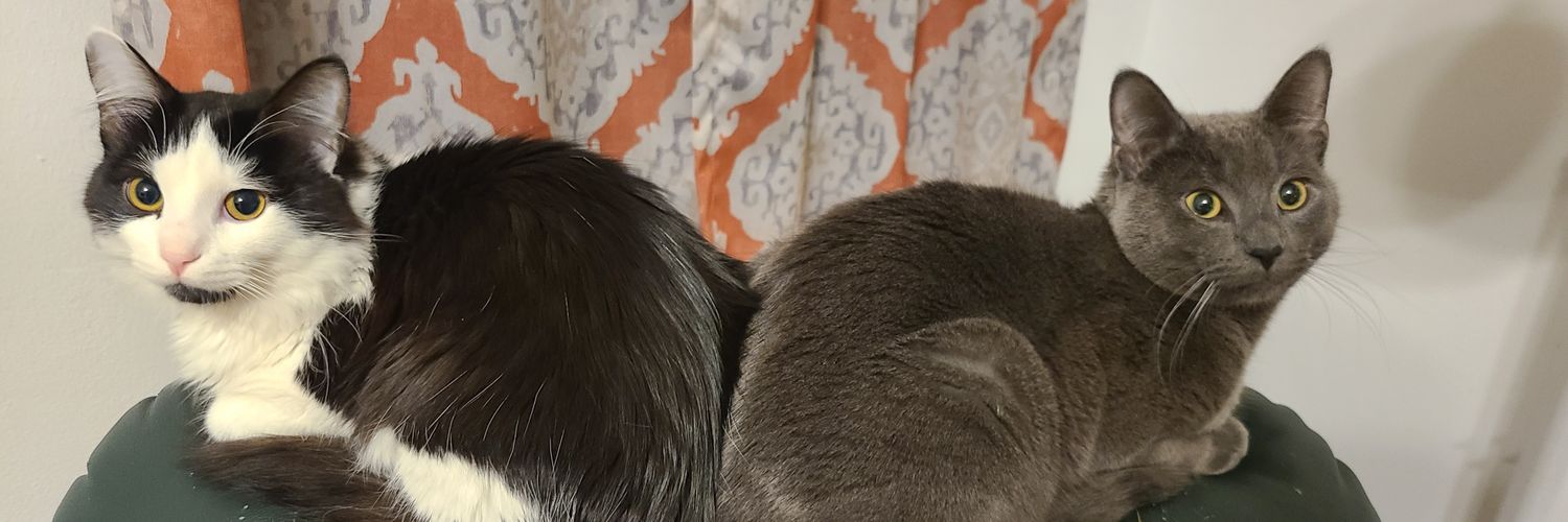 mykeysings's profile banner image