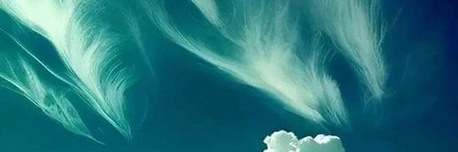 BettyRoundtree's profile banner image
