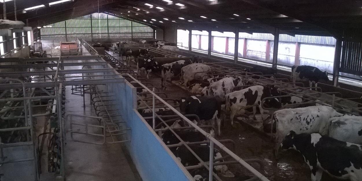 Richard Pratt banner