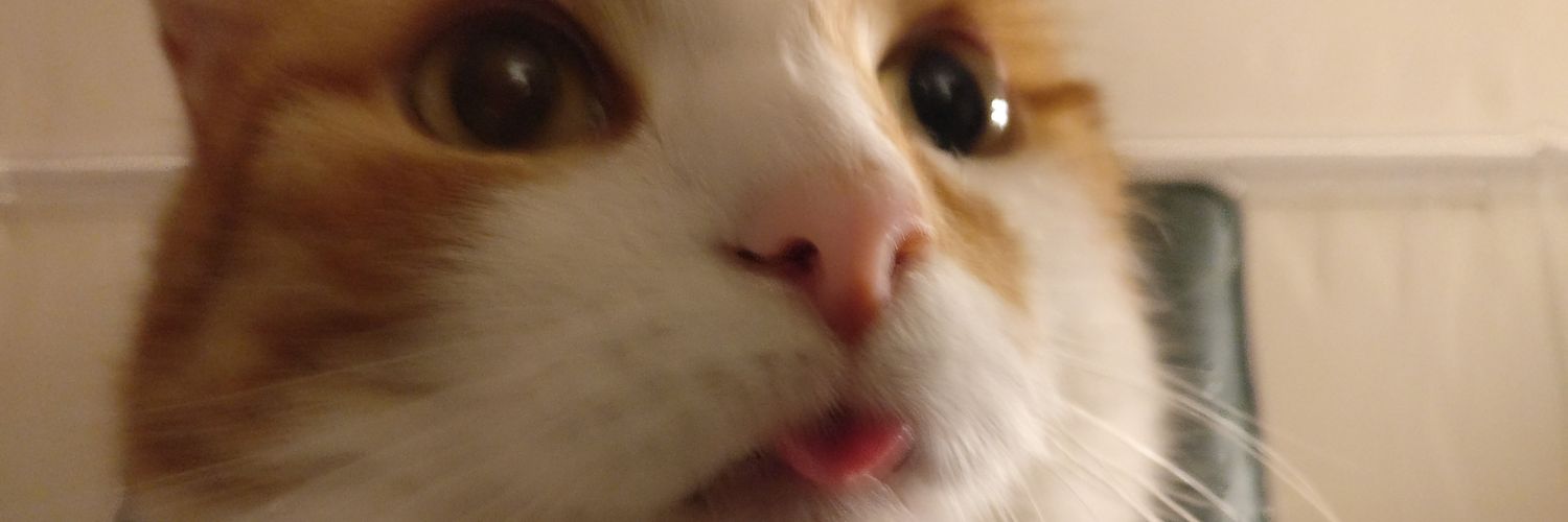 EdHodgkinson's profile banner image