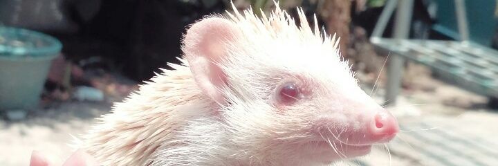cinconr's profile banner image