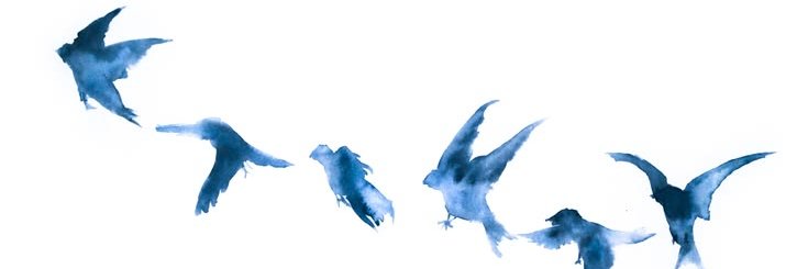 cfioreee's profile banner image