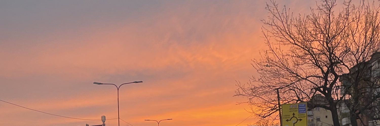 diellzalena's profile banner image