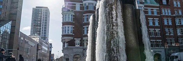 Megan Estenbaum banner