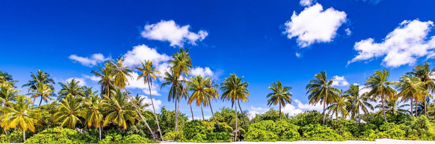 Sun Sea Salt & Sand banner