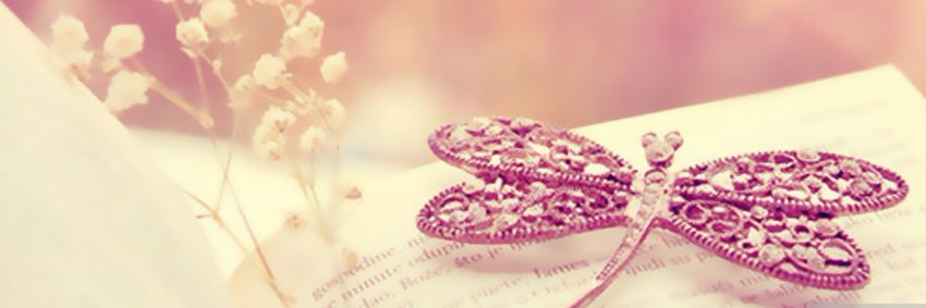 Kavinmv's profile banner image