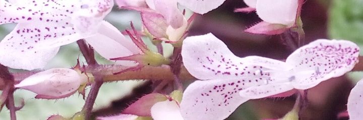 JoseMrach's profile banner image