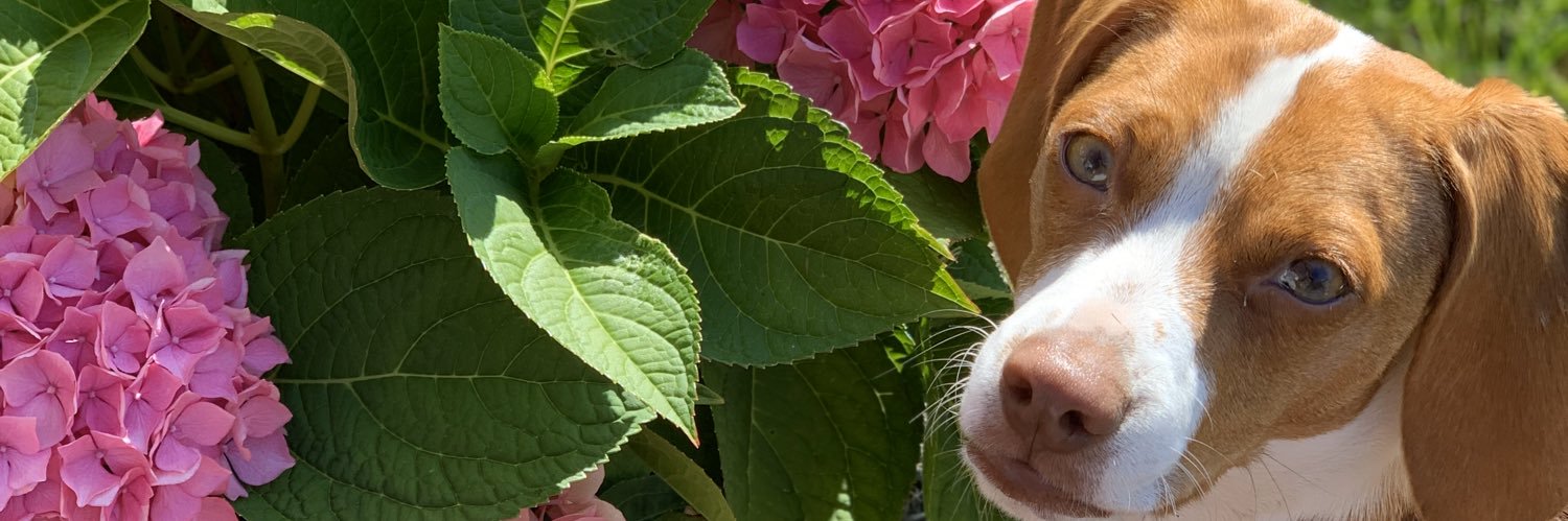 Morgt55's profile banner image