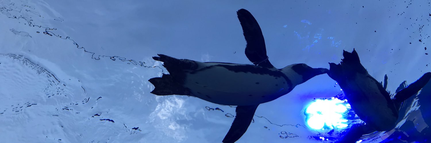 6sanamiracle's profile banner image