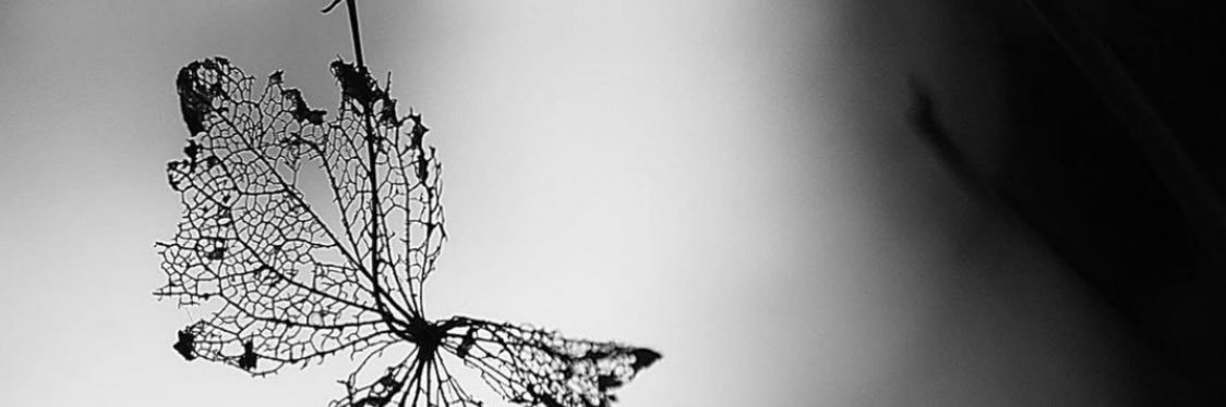 KatyMSL's profile banner image