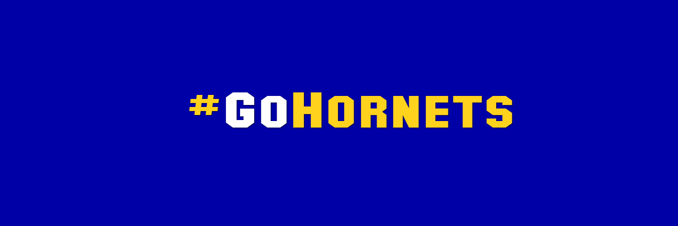 HVilleHornets's profile banner image