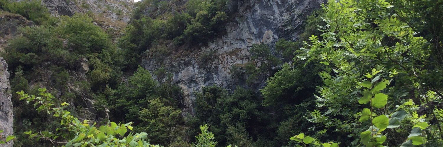 SueFlack1's profile banner image