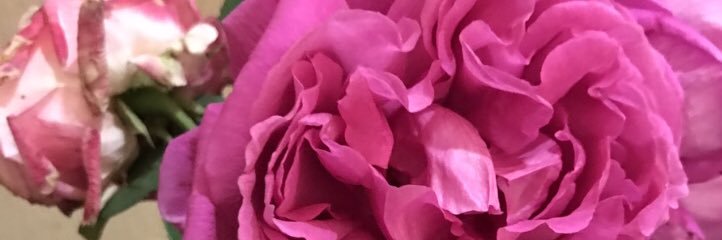 alazzame's profile banner image