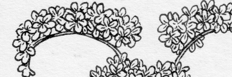 iridienne's profile banner image