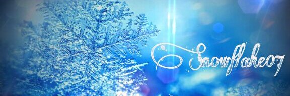 ❄ Snowflake07™ banner