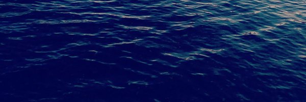 marydee922 Profile Banner