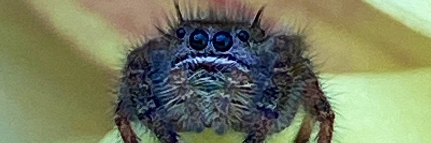 LoveLillyE's profile banner image