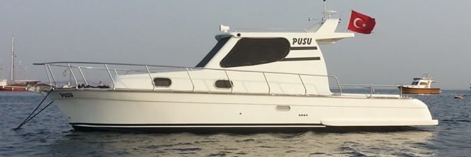 CEMUGUR58's profile banner image
