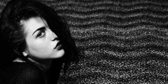 Desmodus Rotundus banner