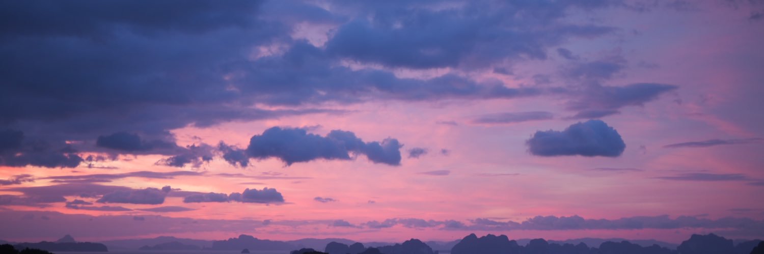 whisky banner