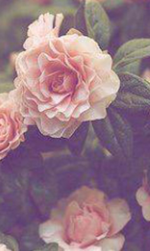 vanessa199515's profile banner image