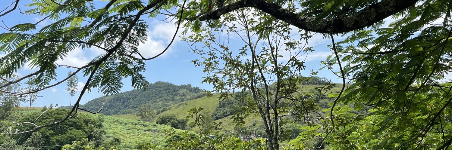 _moreiralu's profile banner image