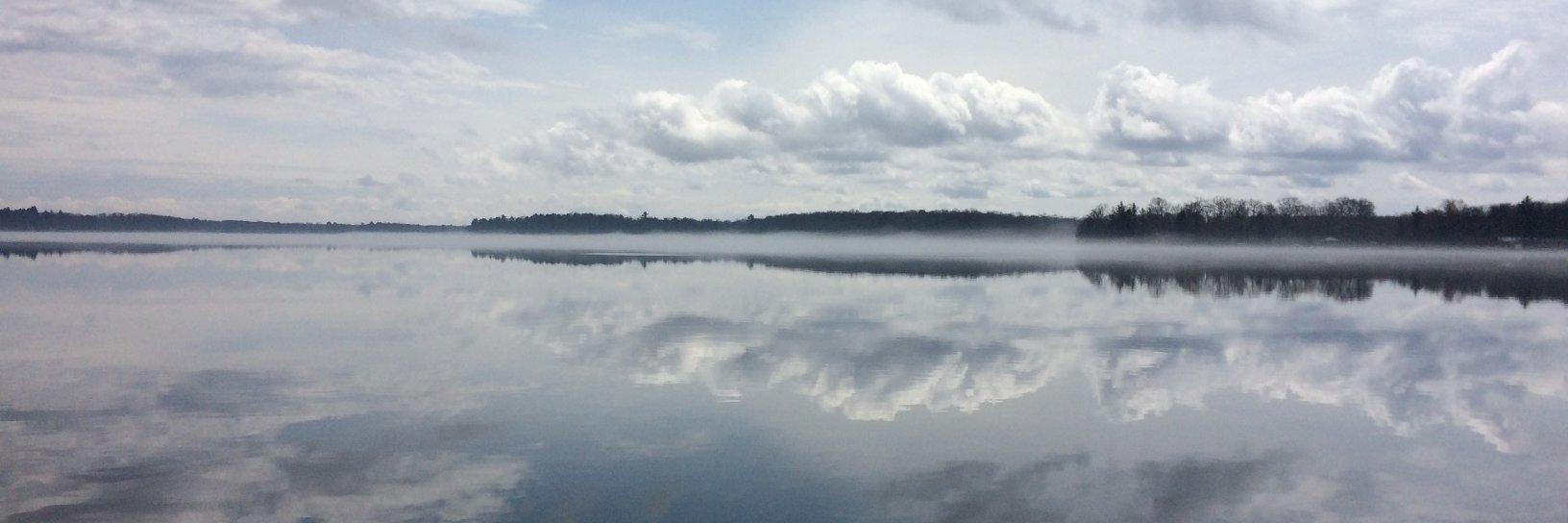 Nancy Bohl Bormann banner