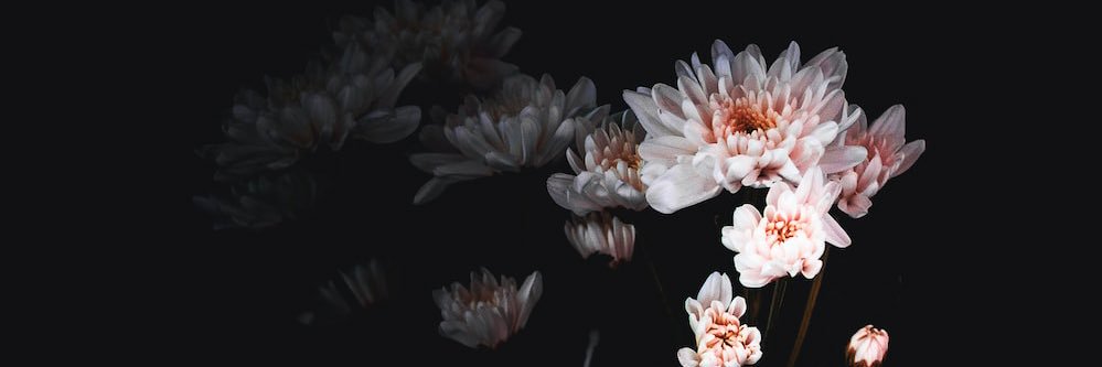 Belenborde's profile banner image