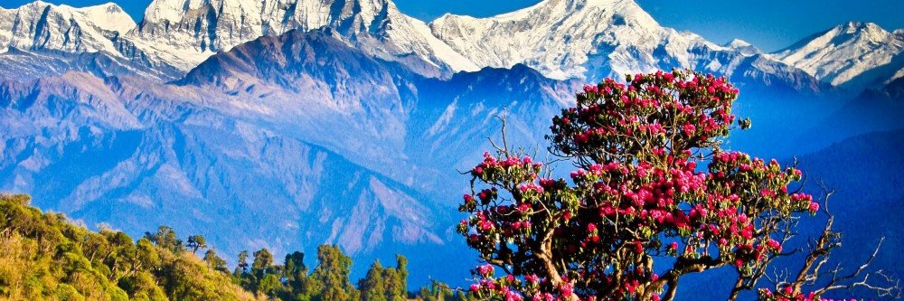 लोकतन्त्र banner