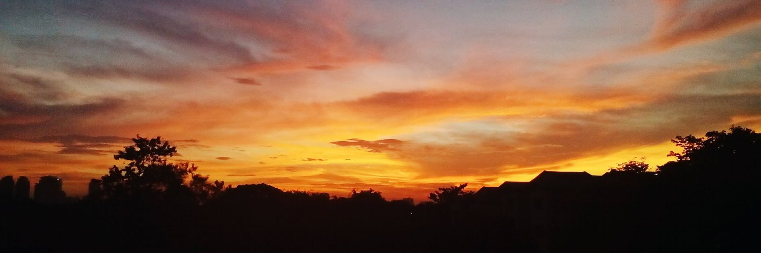 FrancesCadiz's profile banner image