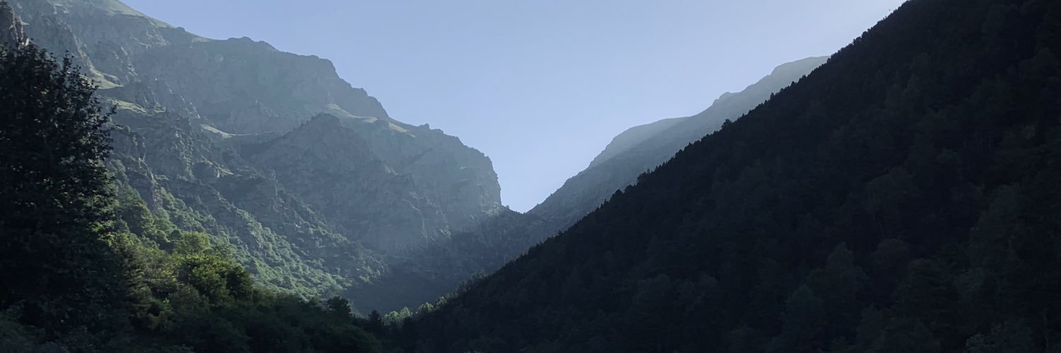 quinpaltot's profile banner image
