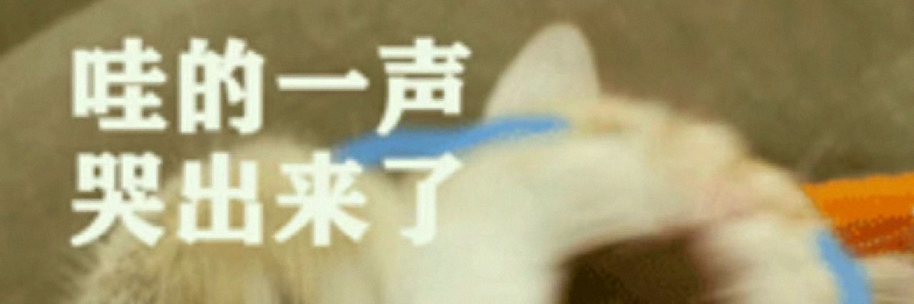 ikuhisako's profile banner image