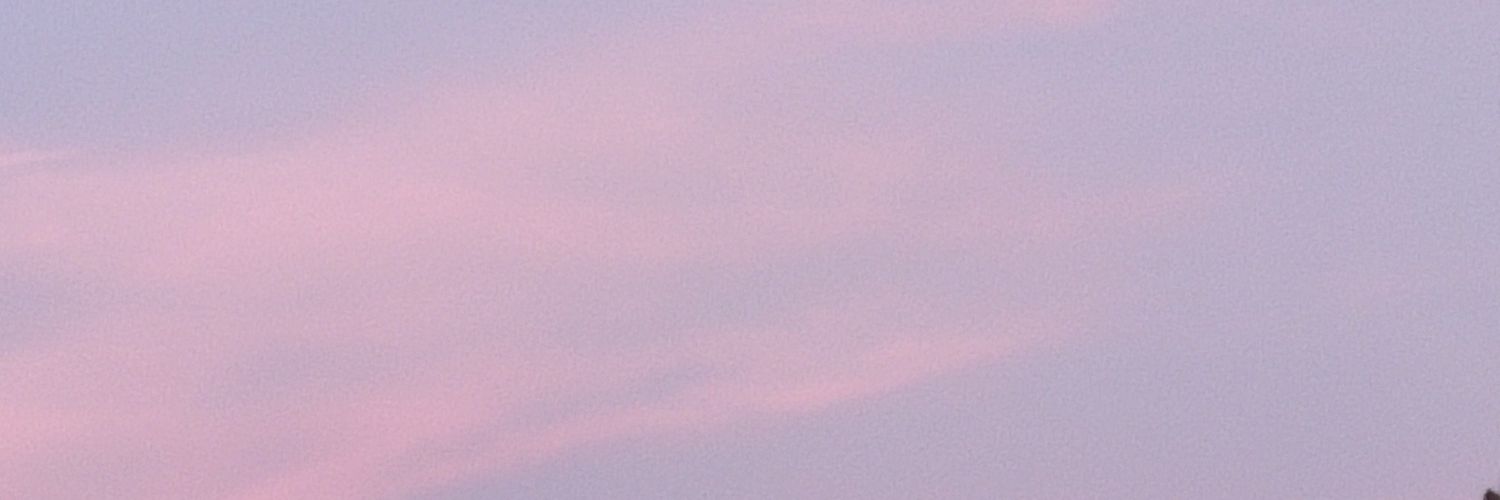 HiCutePerson's profile banner image