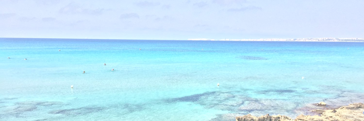 soniaspacchini's profile banner image