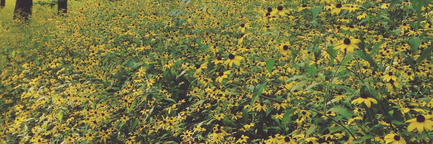 gpresh_72's profile banner image
