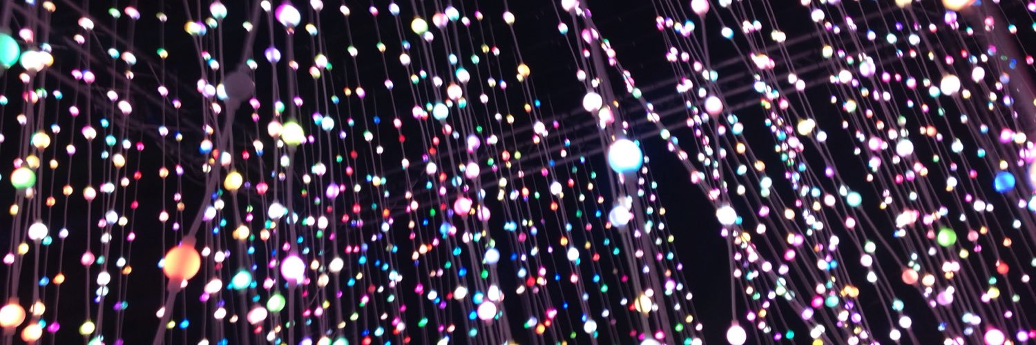 Caroline Knapp banner