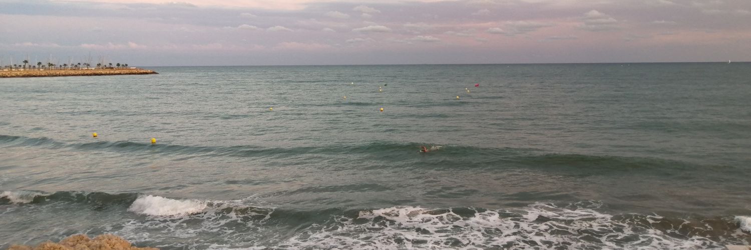 Ricard Vicente i Arnau banner