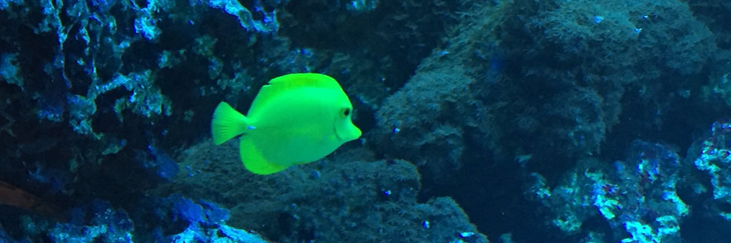 Ham banner
