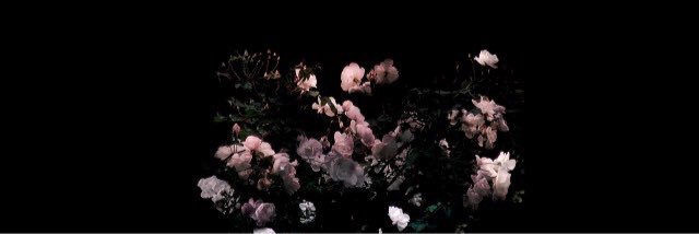 IntrepidPsychc's profile banner image
