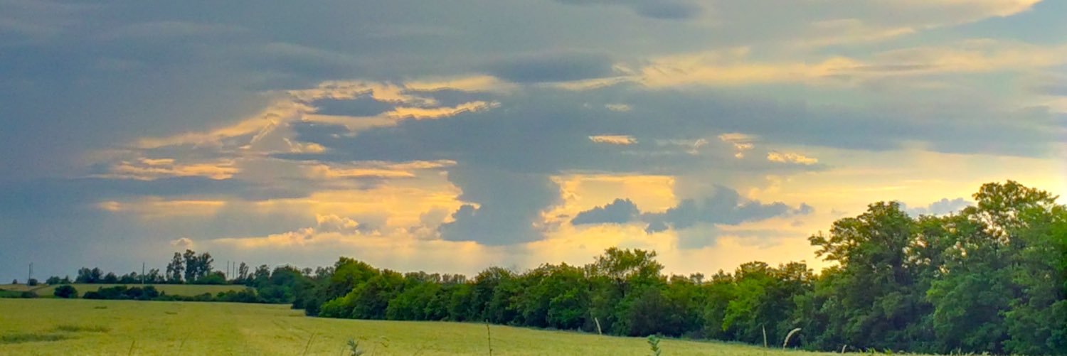 zhooops's profile banner image