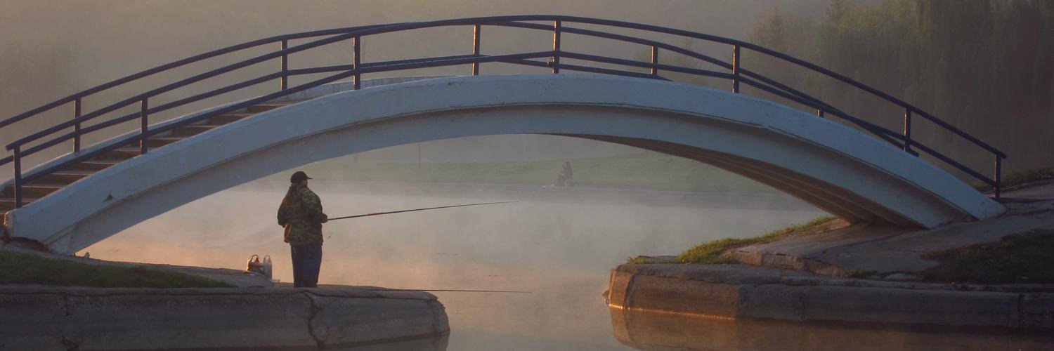 dailyfishing's profile banner image