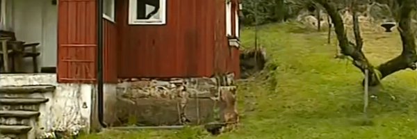 rackamacka Profile Banner