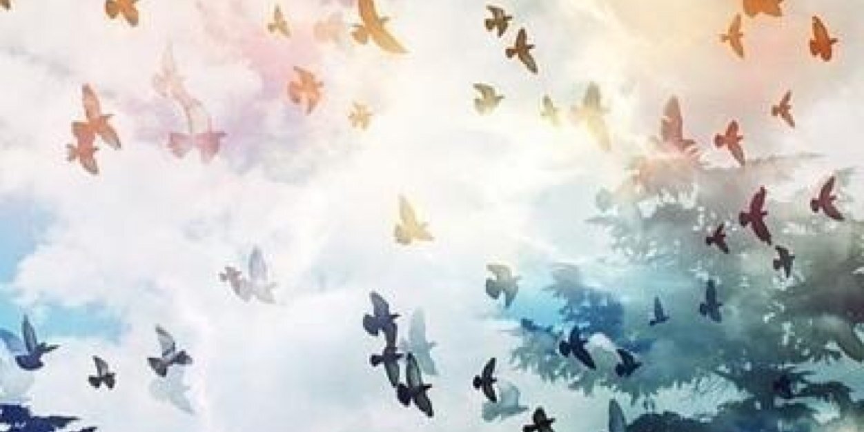 i2som's profile banner image