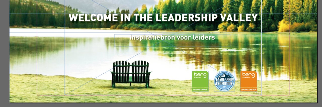 Berg & Partners banner