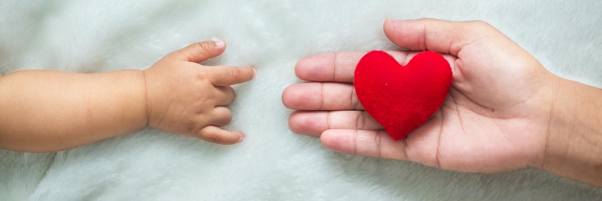 MyAdoptionAdvsr's profile banner image