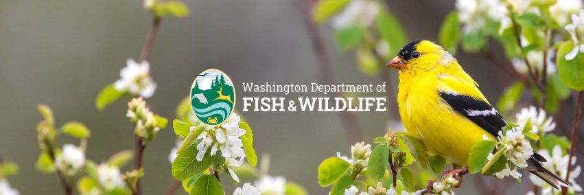 Washington Department of Fish & Wildlife banner