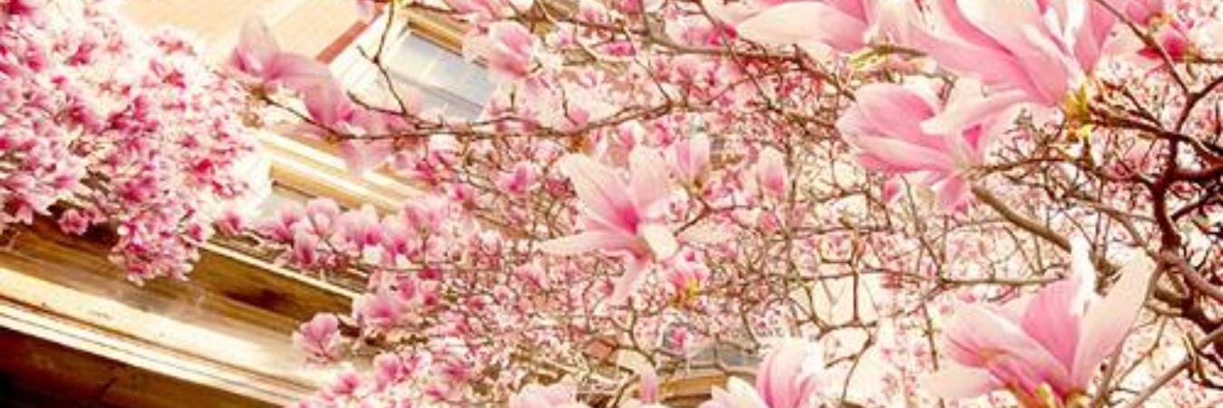HelainePires's profile banner image