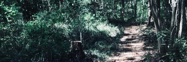 かすい banner