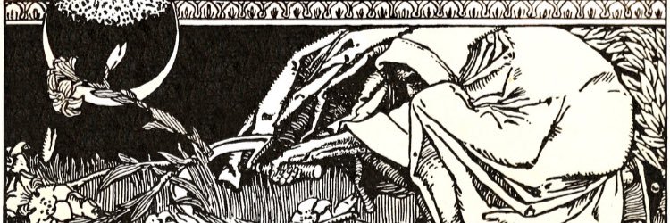 RayleighPunk's profile banner image
